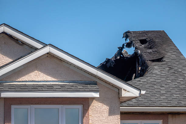 Top rated local Fire Damage Repair specialists in Helmetta, NJ